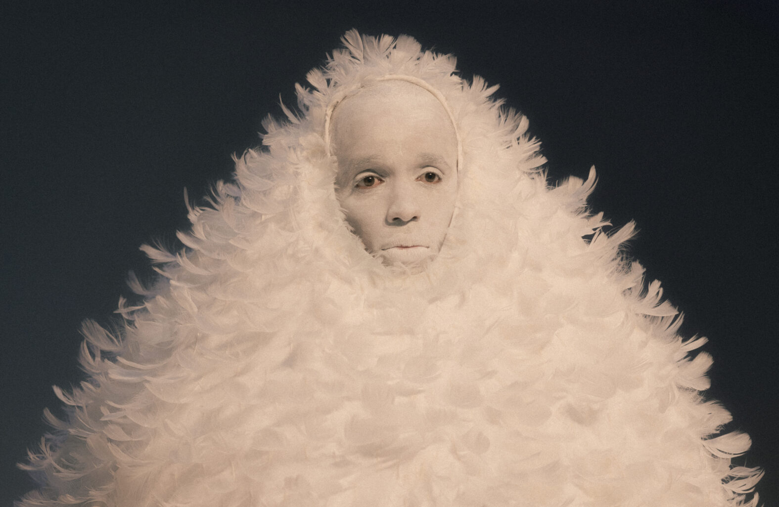 Marvin se tient debout, sur un fond noir, son livre de poésie blanc à la main et il regarde face à lui. Il est grimé en blanc (visage et mains) et porte un costume faite de plumes blanche.